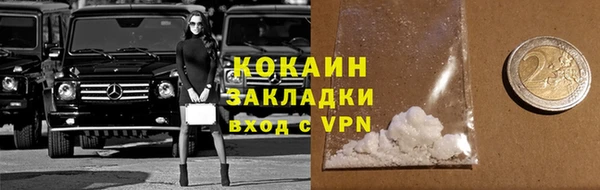 сатива Алзамай