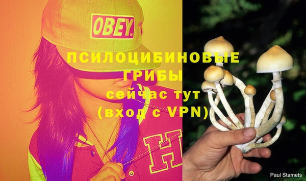 гидропоника Алексеевка