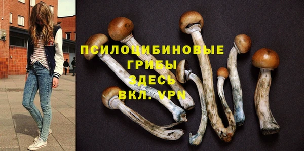сатива Алзамай