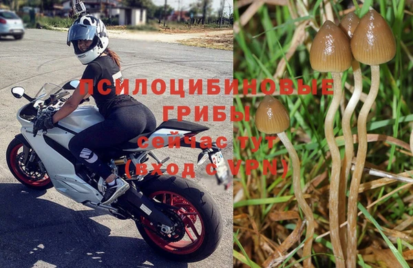 гашиш Алексин