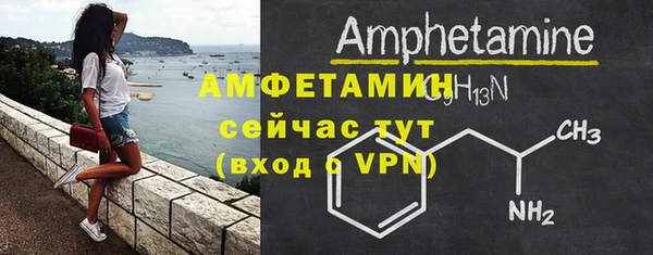 сатива Алзамай