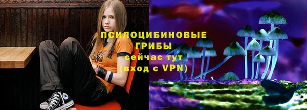 герыч Нязепетровск