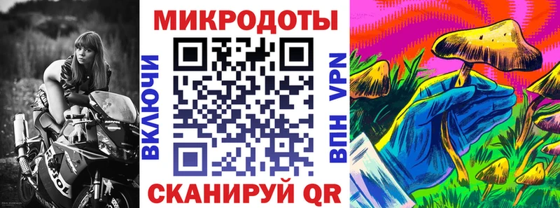купить наркоту  Туринск  Галлюциногенные грибы мухоморы 